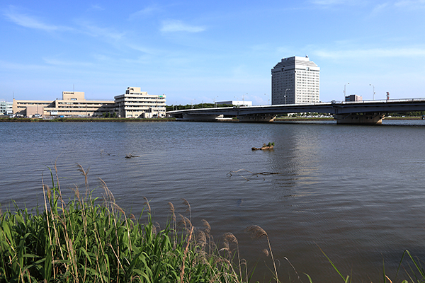 新潟県庁舎