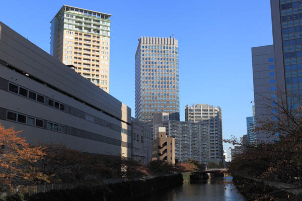 大崎ブライトタワー・パークシティ大崎 ザ タワー