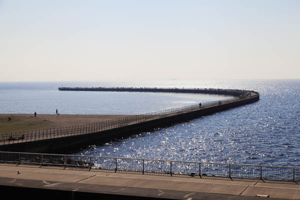 THE 幕張 BAYFRONT TOWER&RESIDENCE