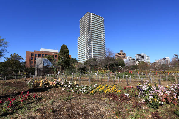 プラウドタワー木場公園