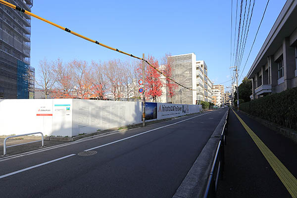 hitoto 広島 The Tower