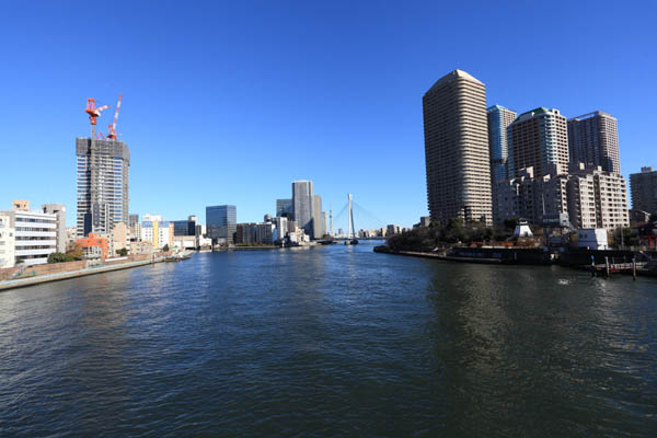 パークシティ中央湊 ザ タワー