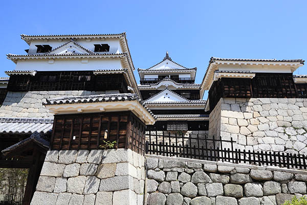 レーベン松山一番町 THE TOWER