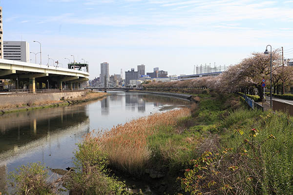 グランドパレス大手町公園