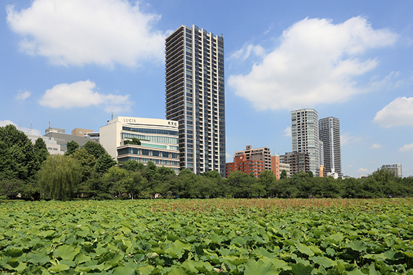 ブリリアタワー上野池之端（Brillia Tower上野池之端）