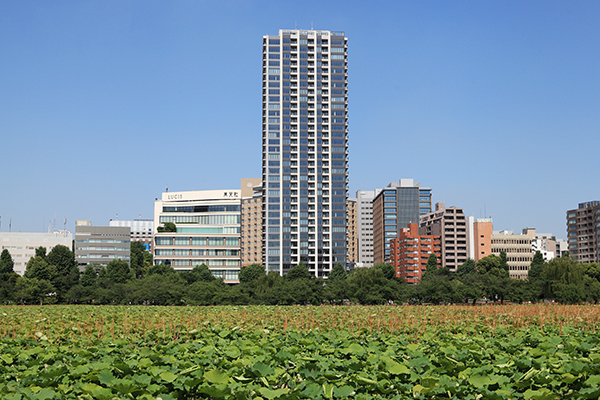 ブリリアタワー上野池之端（Brillia Tower上野池之端）