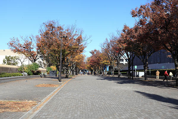 パークコート渋谷 ザ タワー