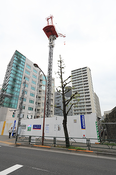 (仮称)豊島区北大塚一丁目計画