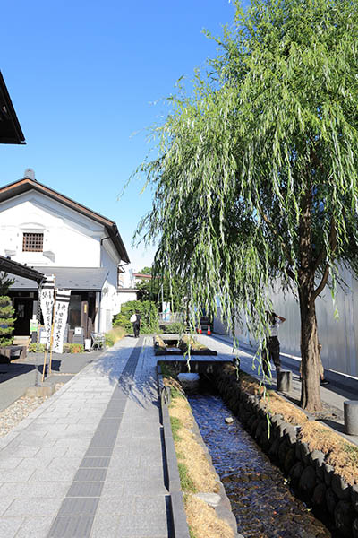 デュオヒルズ山形七日町タワー