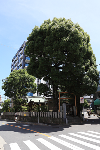 (仮称)市川計画建設工事