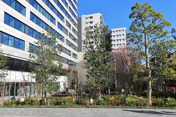 渋谷サクラステージ　SAKURAタワー