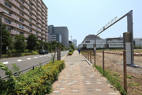 豊洲地区1-1街区開発計画