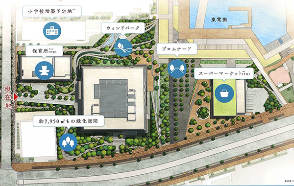 ブランズタワー豊洲の配置図