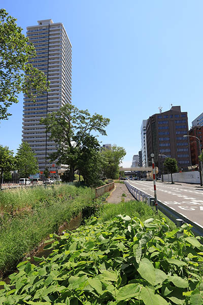 札幌駅北口8・1地区第一種市街地再開発事業