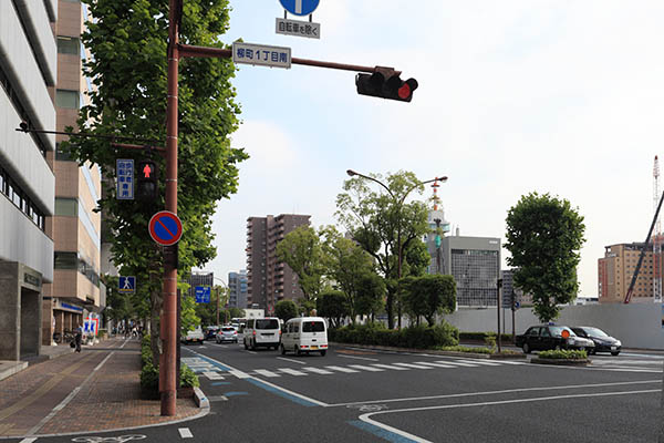 杜の街グレース 岡山 ザ・タワー