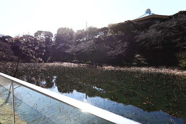 九段会館テラス（KUDAN-KAIKAN TERRACE）