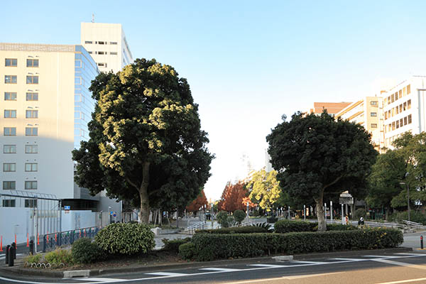 関東学院大学 関内キャンパス