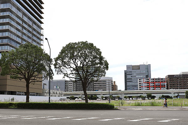 ウェスティンホテル横浜（The Westin Yokohama）