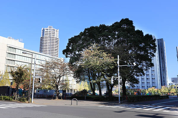 芝浦工業大学 豊洲第二校舎新築工事