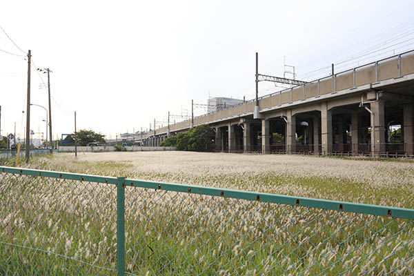 (仮称)船橋市浜町2丁目計画 新築工事