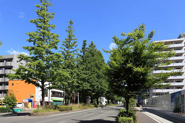 プラウドタワー仙台晩翠通セントラル