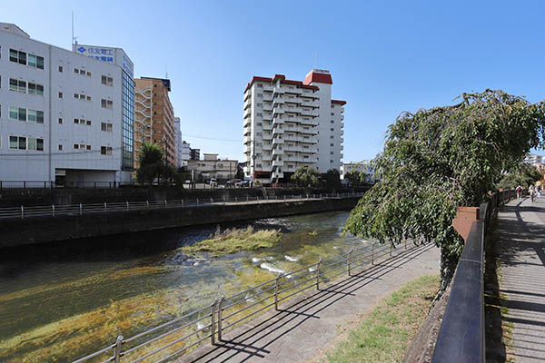 サーパス ザ・タワー宇都宮