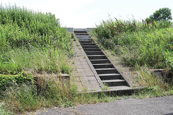 ドレッセタワー新綱島