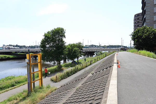 ドレッセタワー新綱島