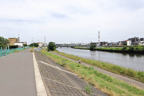 ドレッセタワー新綱島