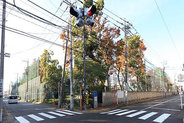 学校法人日本医科大学武蔵小杉キャンパス再開発計画