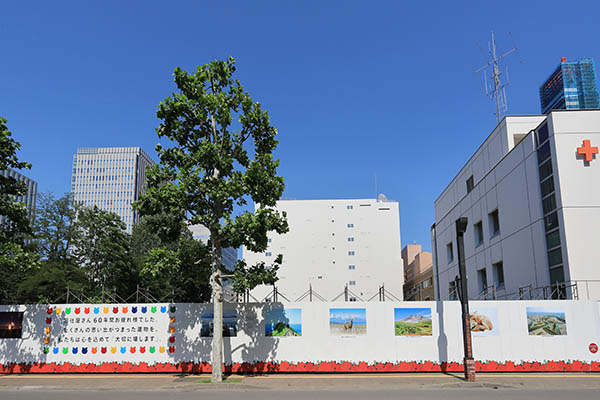 (仮称)札幌HBC跡地計画