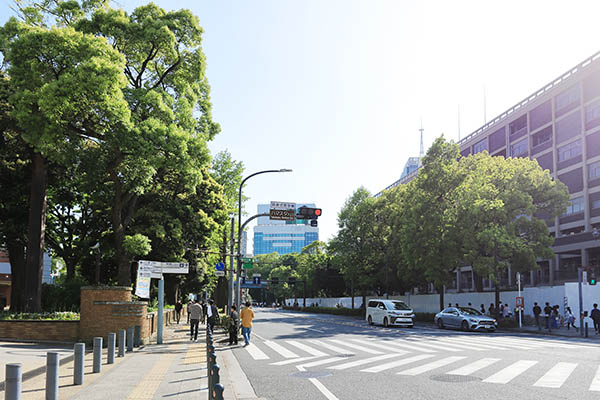 (仮称)横浜市旧市庁舎街区活用事業新築等工事