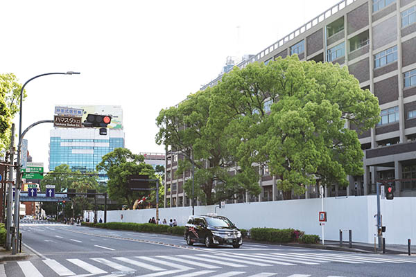 (仮称)横浜市旧市庁舎街区活用事業新築等工事