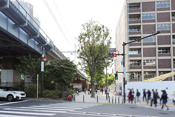 (仮称)横浜市旧市庁舎街区活用事業新築等工事