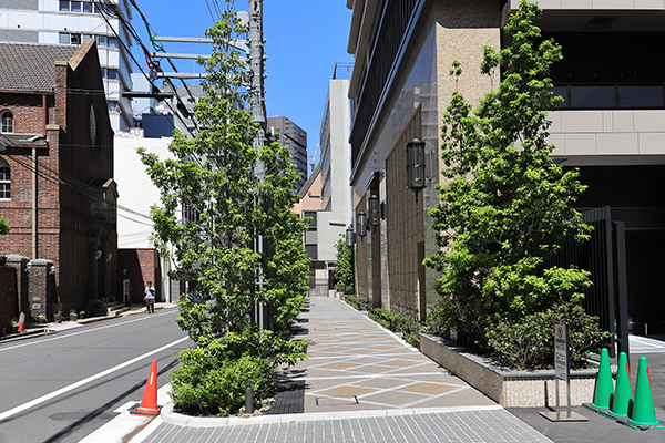 ザ・ファインタワー大阪肥後橋