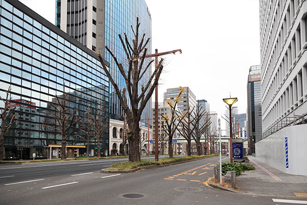 (仮称)名古屋丸の内一丁目計画