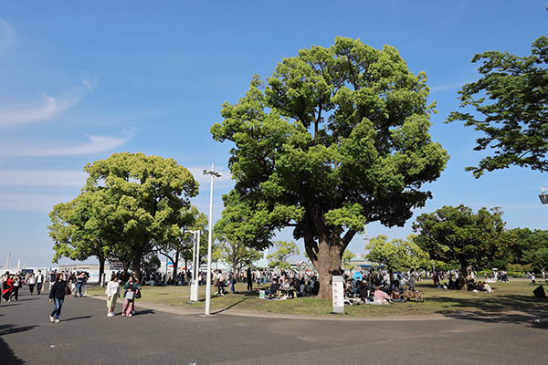 グランドメゾン山下公園