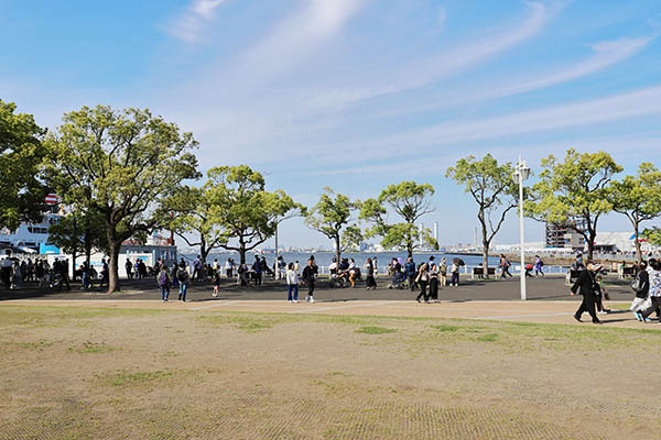 グランドメゾン山下公園