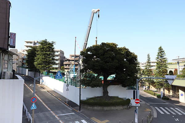 (仮称)中野区東中野五丁目計画