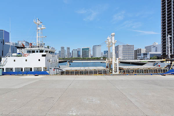 豊海地区第一種市街地再開発事業