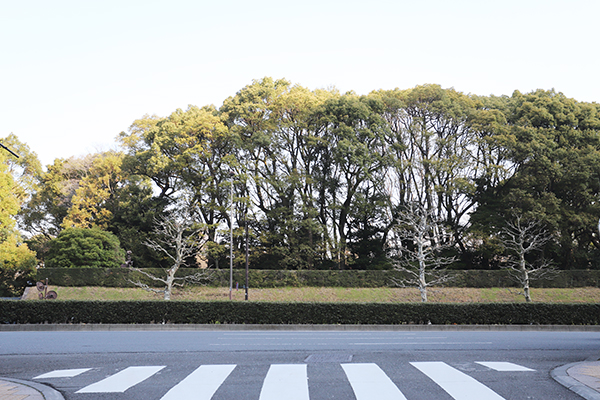 赤坂七丁目2番地区第一種市街地再開発事業