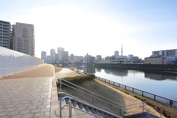 シティタワー千住大橋