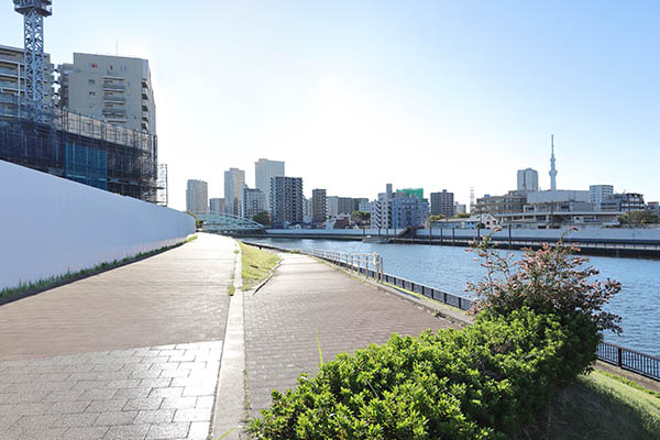 シティタワー千住大橋