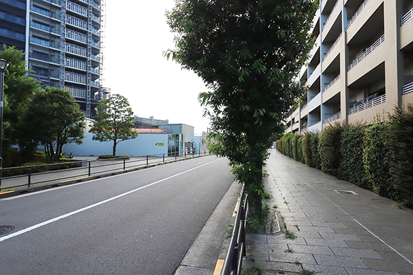 シティタワー千住大橋