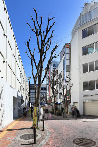 (仮称)西新宿一丁目地区プロジェクト