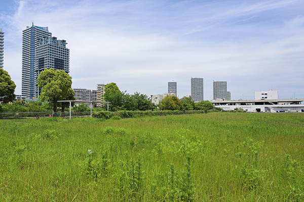 みなとみらい21中央地区62街区ハーバーエッジプロジェクト