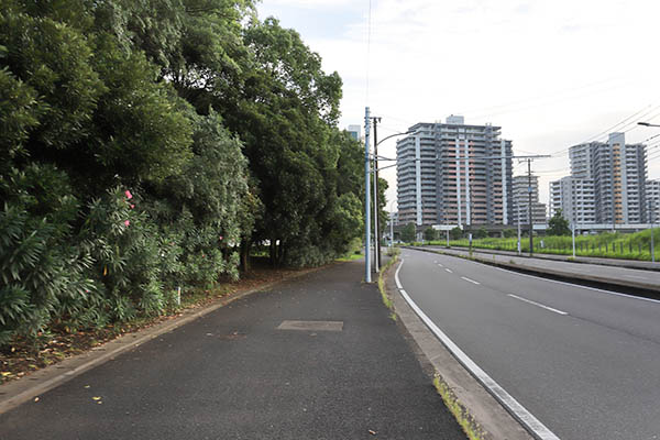 幕張新都心若葉住宅地区計画（B-4街区）