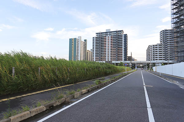 幕張新都心若葉住宅地区計画（B-4街区）