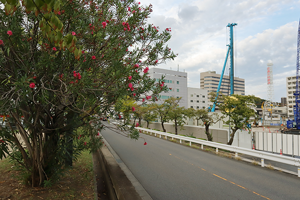 ウエリス皆実町