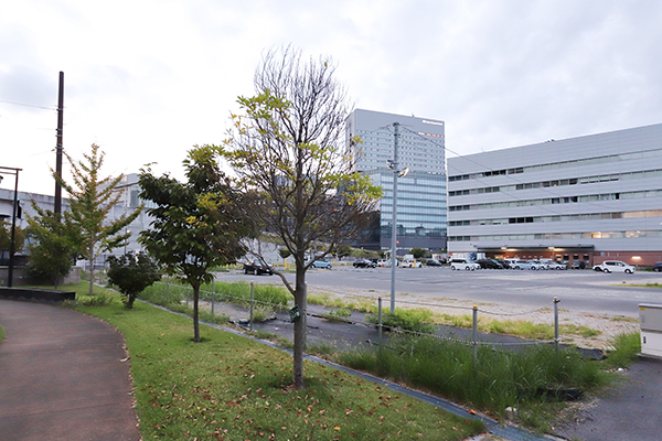 住友不動産 二葉の里地区開発